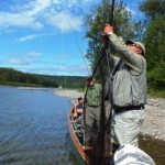 A 14 pound salmon