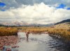 On the South Platte