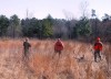 Oakland Quail Hunt