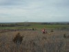 Kansas Quail Hunt