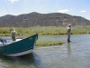 Fishing the San Juan