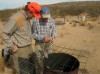 West Texas Quail Hunt