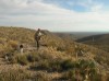 West Texas Quail Hunt