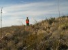 West Texas Quail Hunt