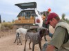 West Texas Quail Hunt