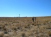 West Texas Quail Hunt