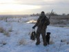 Colorado Late Season Mallards