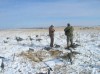 Colorado Goose Hunting