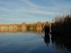 Colorado Duck Hunting